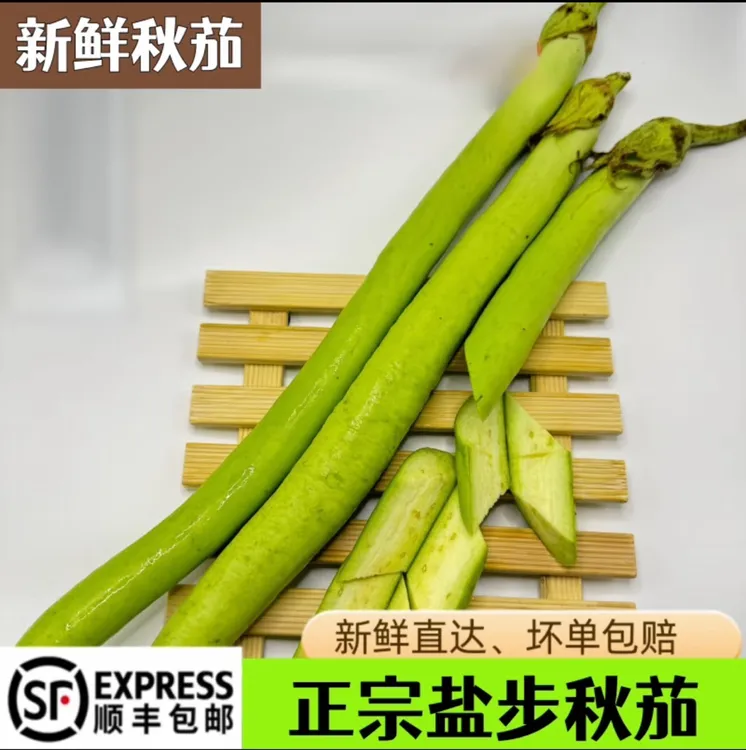 新鲜秋茄蔬菜盐步秋茄青茄子500g线茄子广东粤菜餐厅食材顺丰发货