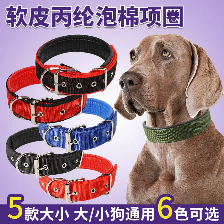不勒脖宠物项圈 软皮内衬丙纶泡棉项圈狗项圈狗牵引绳通用耐磨
