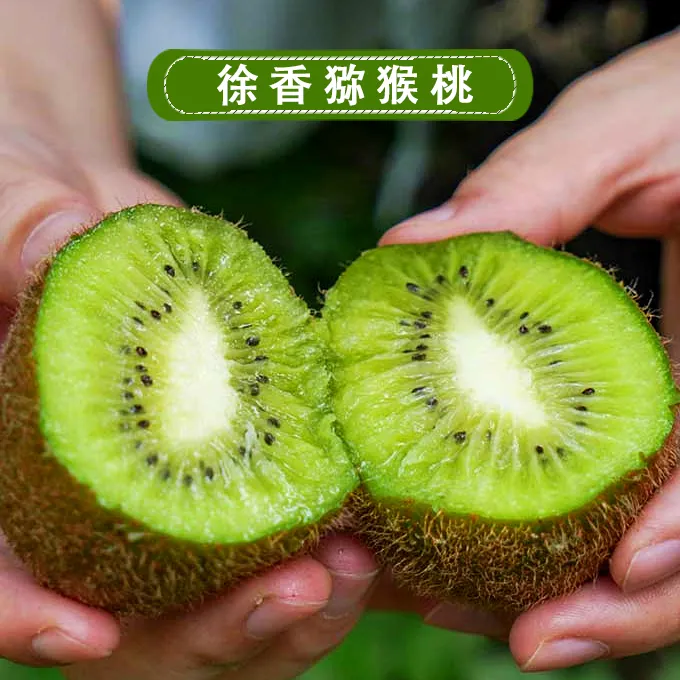 陕西徐香绿心猕猴桃肉嫩多汁5斤装【坏果包赔】