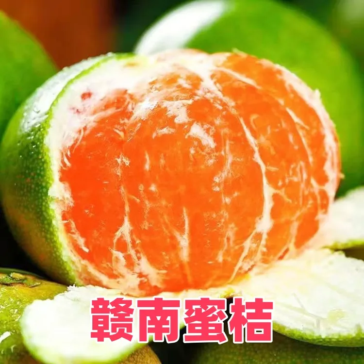 正宗赣南寻乌蜜桔皮薄酸甜多汁柑橘子孕妇当季新鲜水果赣南特早