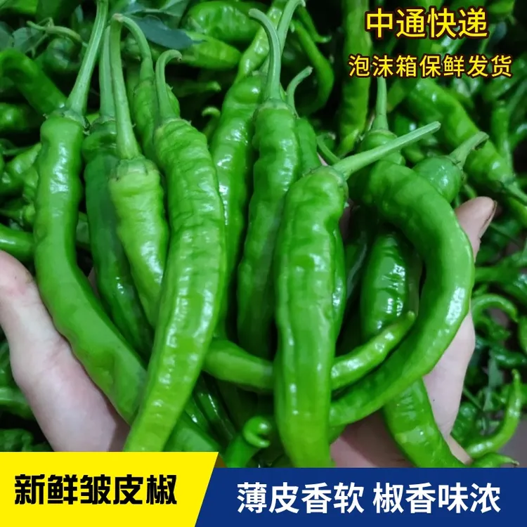 2斤3斤4斤湖南辣椒新鲜现摘农家种植皱皮辣椒薄皮软皮青椒农产品