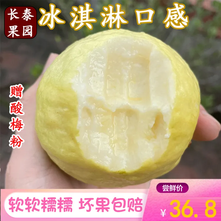 福建漳州软糯奶油白心芭乐5斤 冰淇淋番石榴整箱孕妇新鲜水果包邮