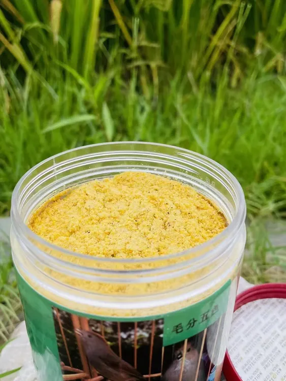 志强鸟食A级打口料