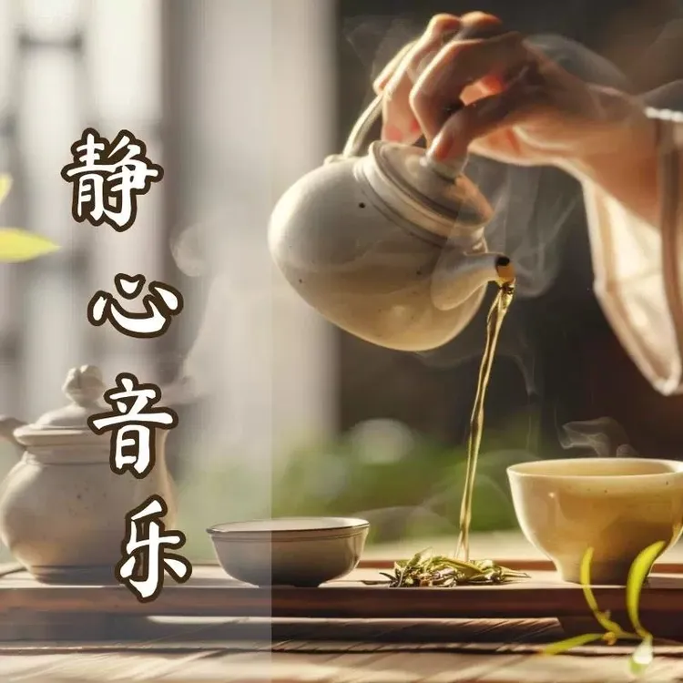 高档茶室美容院餐厅纯轻音乐u盘歌曲舒缓无损高音质音频MP3/MP4