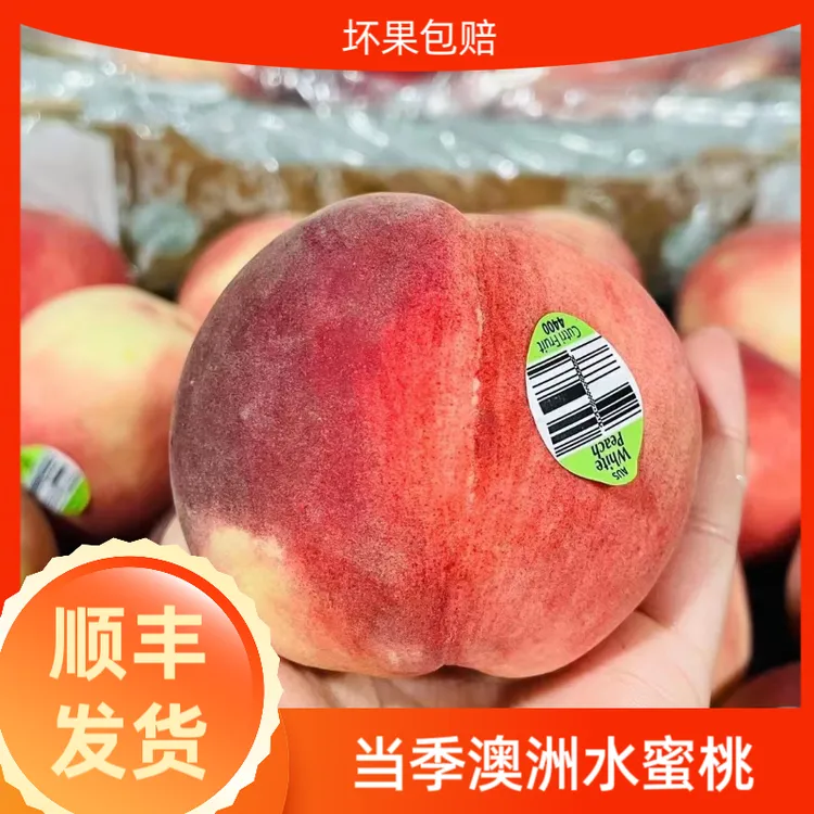当季澳洲水蜜桃毛桃1-4斤装香甜软糯公主桃新鲜进口水果发顺丰