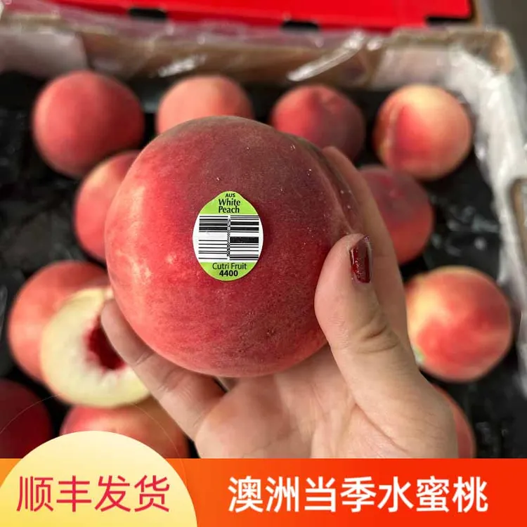 当季现货澳洲进口水蜜桃毛桃140-160克桃子2-12个水果桃子发顺丰