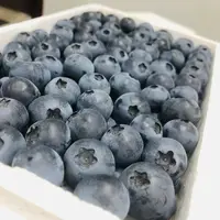 【只限太原榆次可拍】两箱  泡沫箱蓝莓 花香味甜口 带箱450g左右