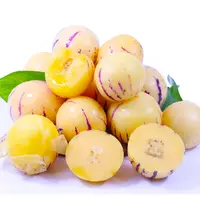 【三斤散装】云南人参果 树上熟 新鲜水果  只限山西省内可拍