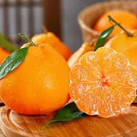 【一箱】四川熊猫丑橘  果肉细嫩多汁 整箱5斤左右