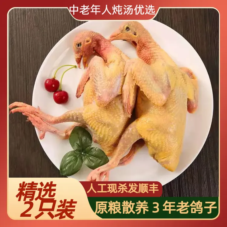 鸽子新鲜现宰杀散养3年老鸽子肉土鸽子煲汤乳鸽6两发顺丰