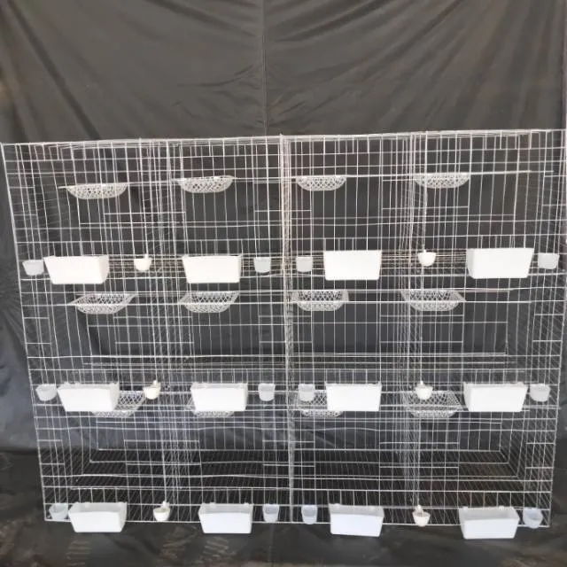 鸽子养殖专用种鸽肉鸽繁殖配对笼鸽子笼子批发厂家直销拍前联系