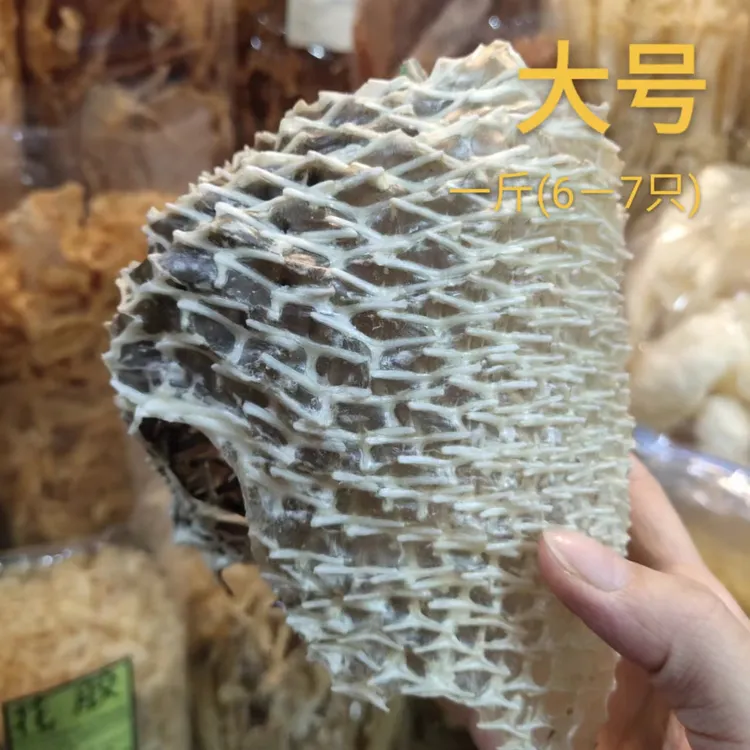 有刺海刺猬刺豚鱼皮刺龟鱼皮天然海味干货酒店美味500g刺龟皮