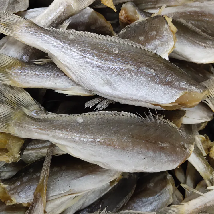 珠海三牙或鱼去头鱼干淡晒海味三齿鱼干500g三牙划仔包邮