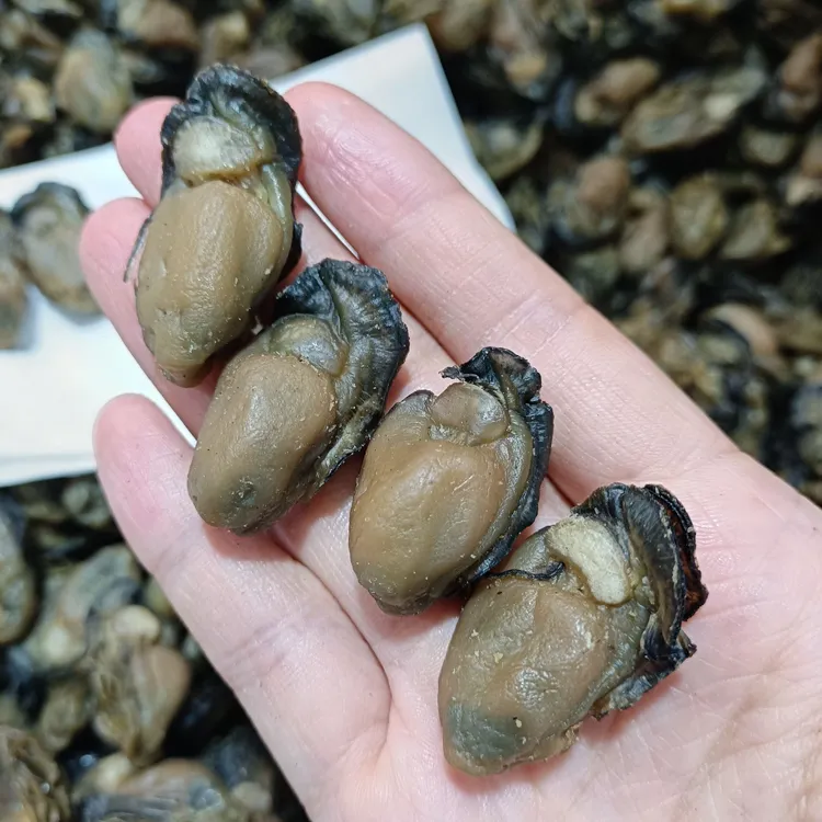 90头/150头/200头新晒蚝豉 生蚝干蚝士珠海海味煲粥煲汤250g/500g