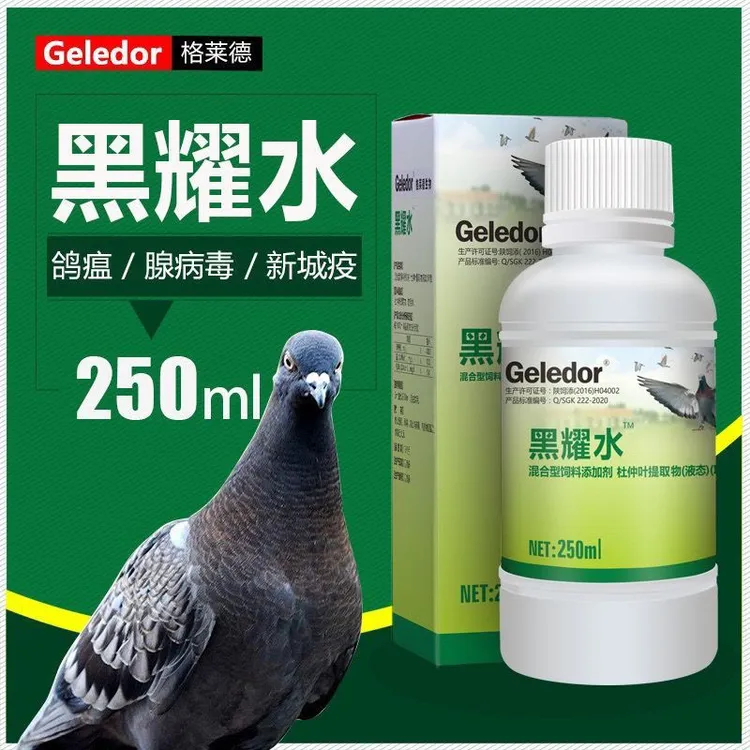 精品鸽子格莱德产品口服黑耀水250ml赛鸽用品