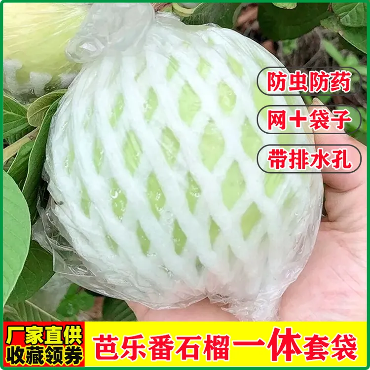 番石榴套袋芭乐防病害虫网袋专用一体泡沫包装袋自带排水排气孔