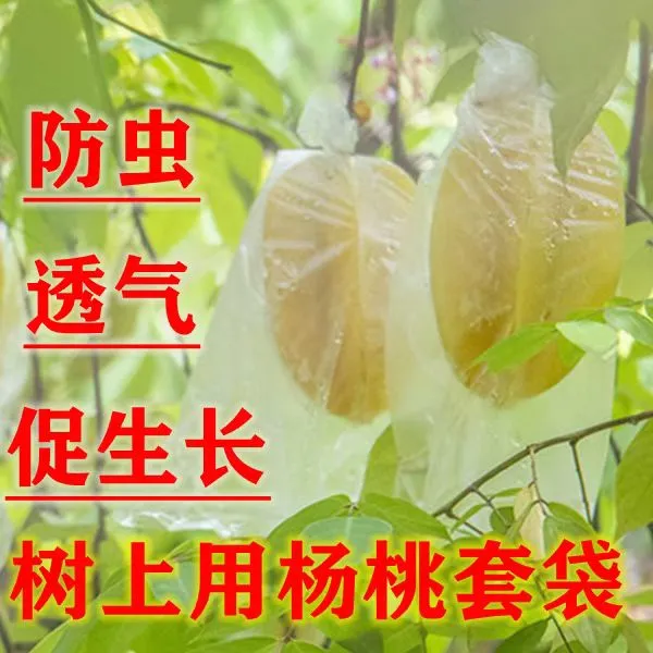 杨桃芭乐番石榴专用袋套袋生长袋水果瓜果防虫水果保护透明薄膜袋