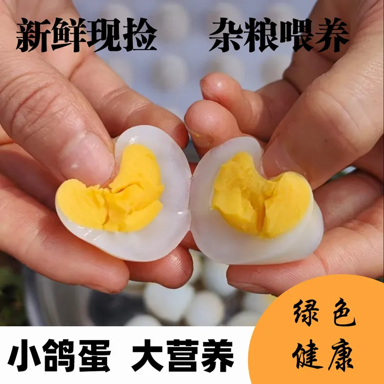 【中秋健康好礼 生态鸽子蛋】农家新鲜鸽子蛋优质营养孕妇老人孩子