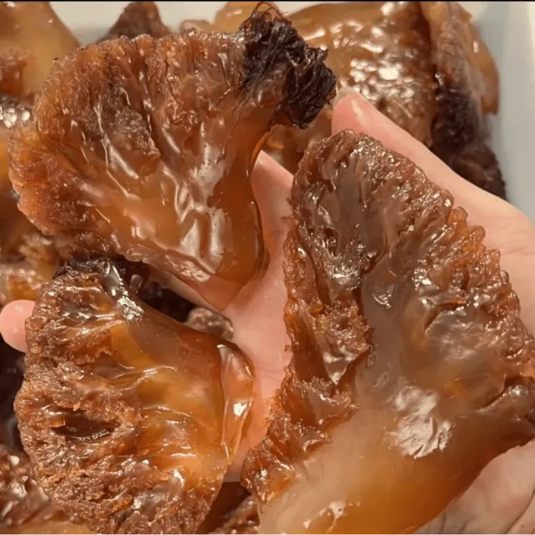 【阿儿海鲜】舟山正宗天然野生海蜇头精品海蜇凉拌菜爽脆净重5斤/桶