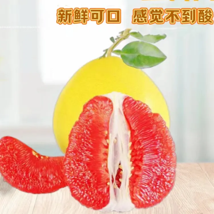株洲茶陵长盛康三红蜜柚新鲜多汁礼1.8斤-2.2斤