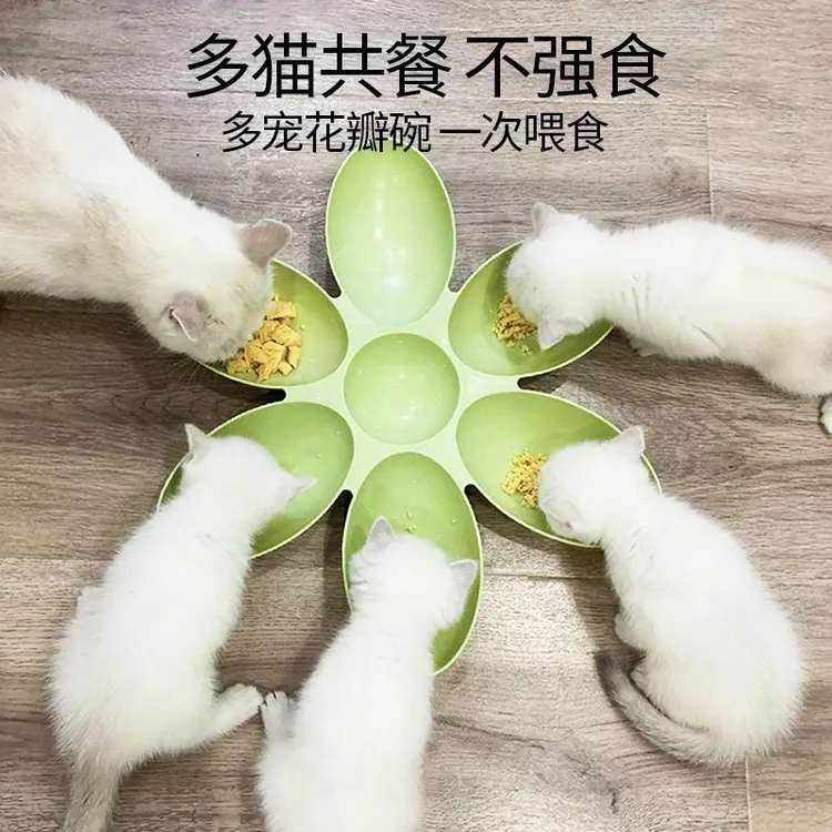 猫舍供应新款创意猫咪食具 花瓣多格猫碗 塑料宠物碗喂食喂水猫碗