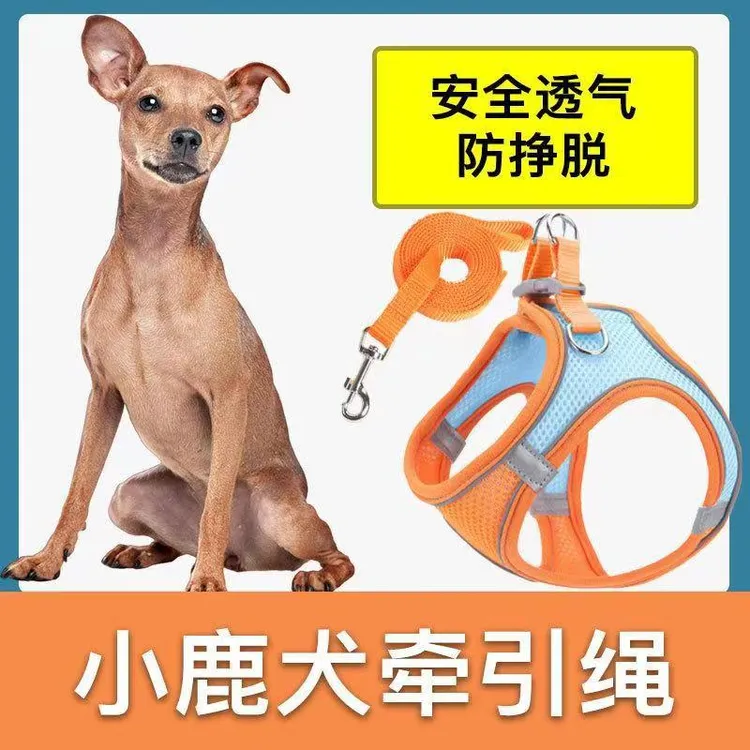 小鹿犬专用猫咪牵引绳狗牵引绳遛狗神器狗绳牵引绳狗背心式牵引绳