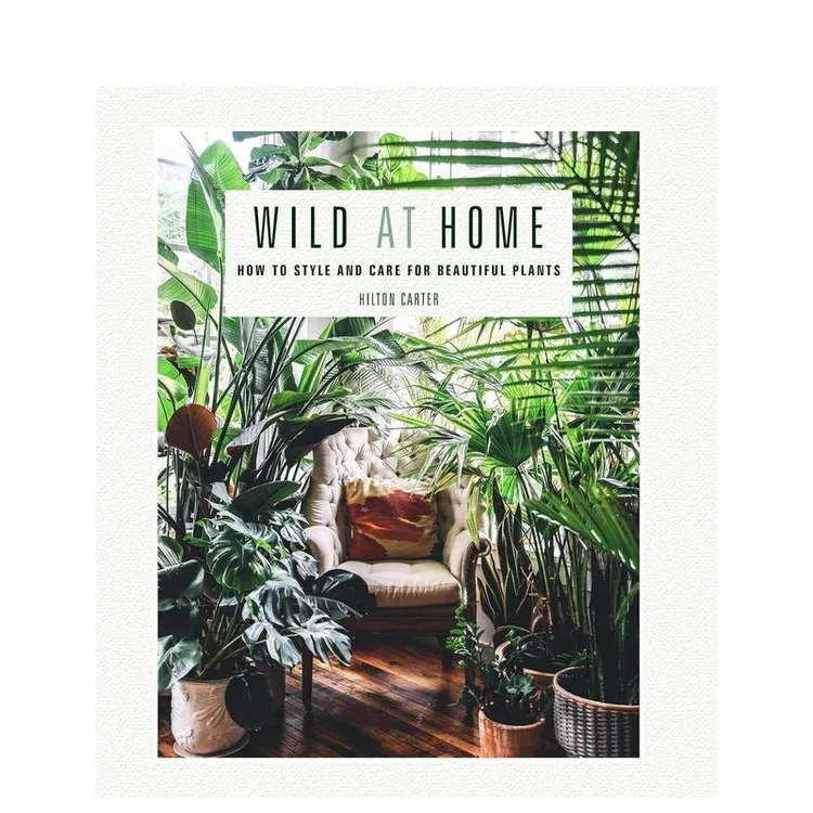 Wild at Home 野生家居:如何设计和照顾美丽的植物 英文原版室内