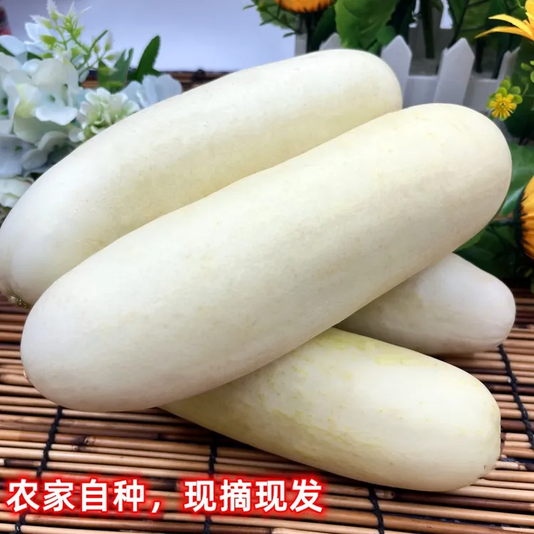 新鲜白黄瓜湖北农家自种白皮老黄瓜生吃旱玉瓜应季本地蔬菜3/5斤