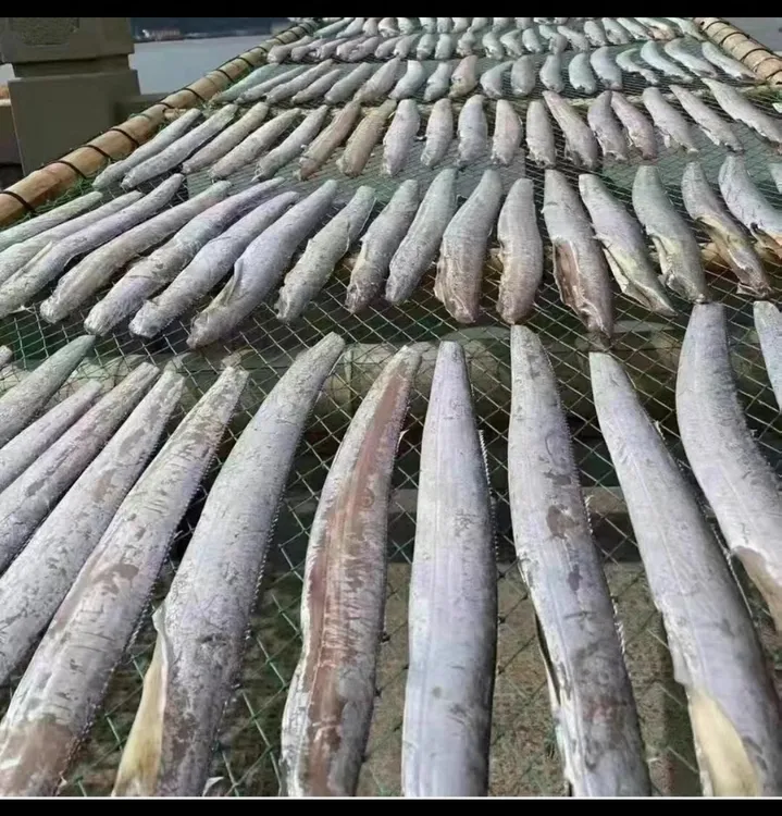 【整条发货】正宗东海咸风带鱼 精选东海油带鱼 肉厚咸香微咸3斤装