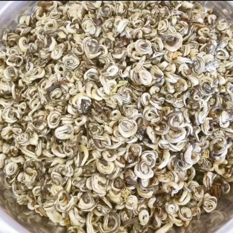 2025年新茶茉莉花茶(金丝盘螺)香味纯正！味浓！耐泡