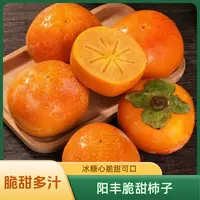 【果园直发ZH】山西阳丰甜脆柿子带箱5斤现摘新鲜孕妇水果甜柿子