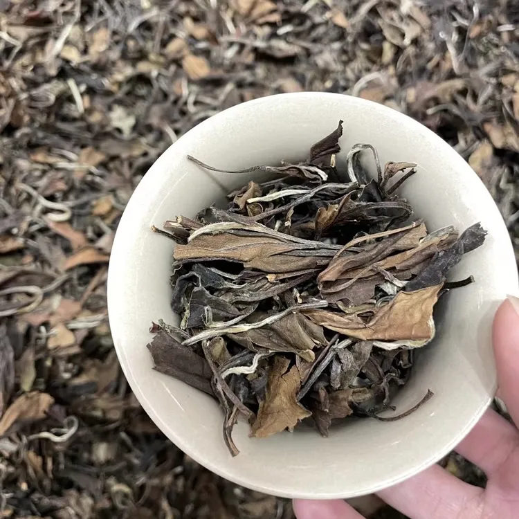 【爆款老白茶】2015年枣香老寿眉福鼎老白茶老茶有点碎介意勿拍