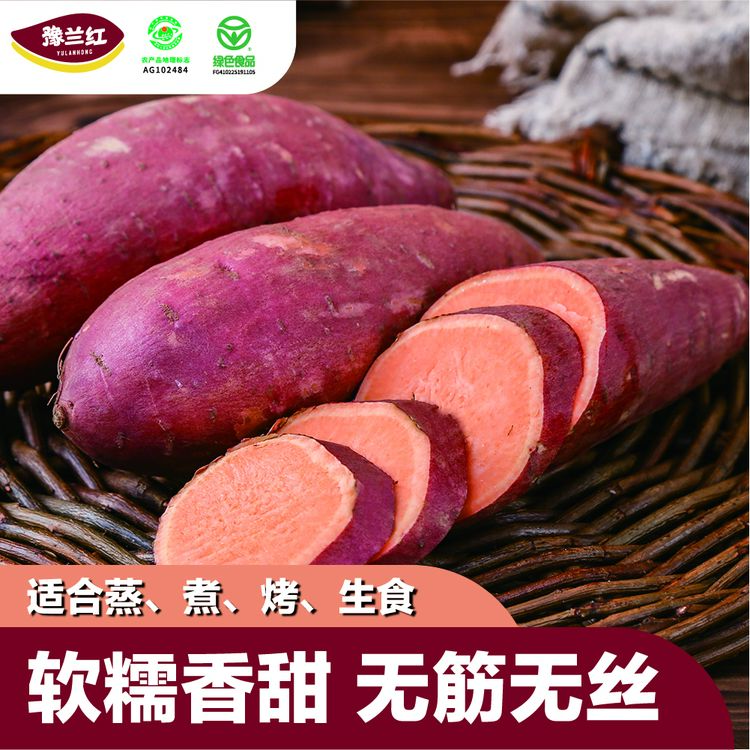 豫兰红豫兰红【五斤装】兰考蜜薯香甜皮薄沙土地新鲜美味软糯香甜