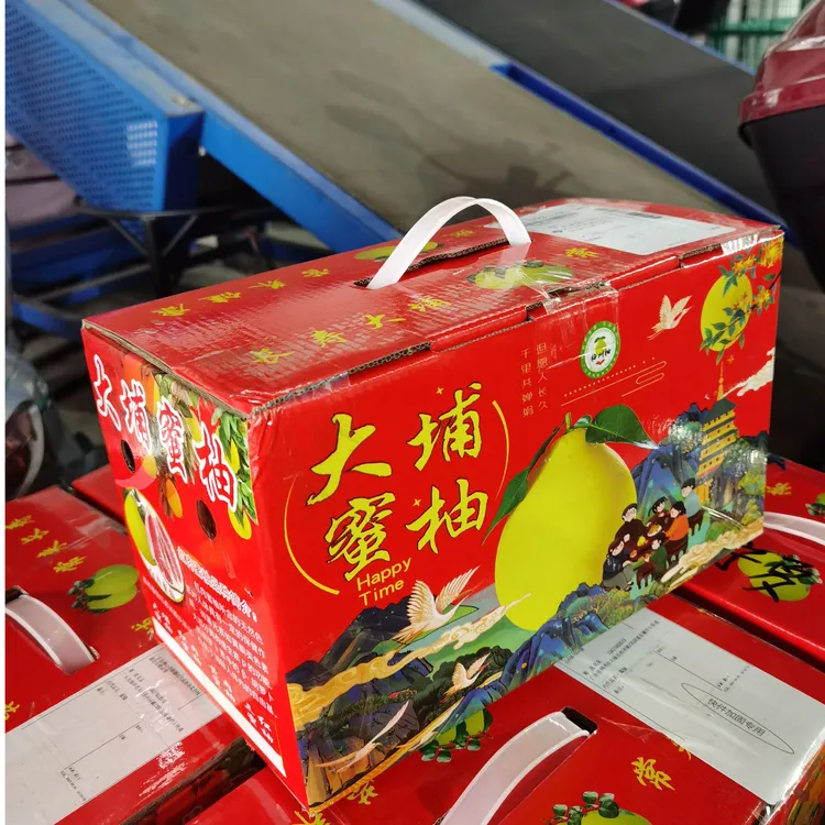 广东大埔原产地自家果园直销红肉蜜柚精选2个礼品盒礼品袋装