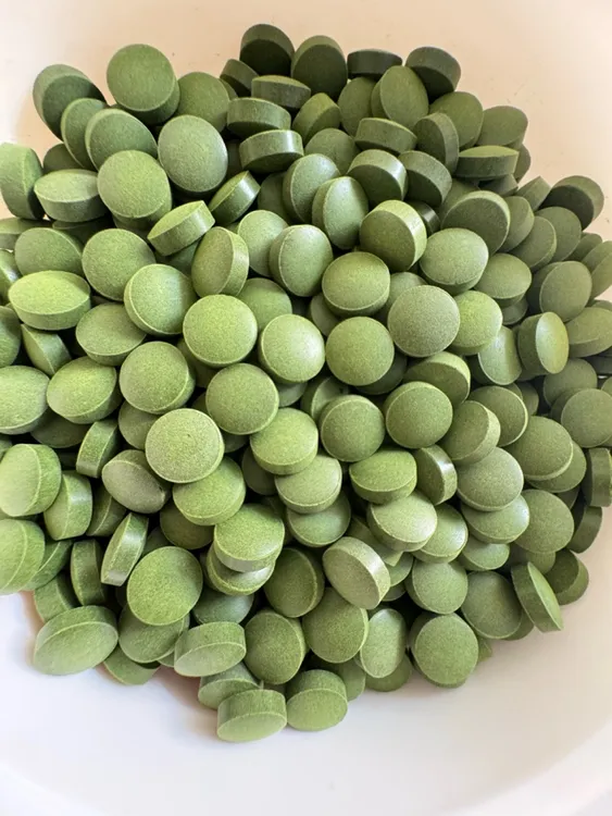 小球藻鱼食藻片胡子大帆异形鱼饲料底栖虾粮熊猫迷宫鼠菠菜螺旋藻