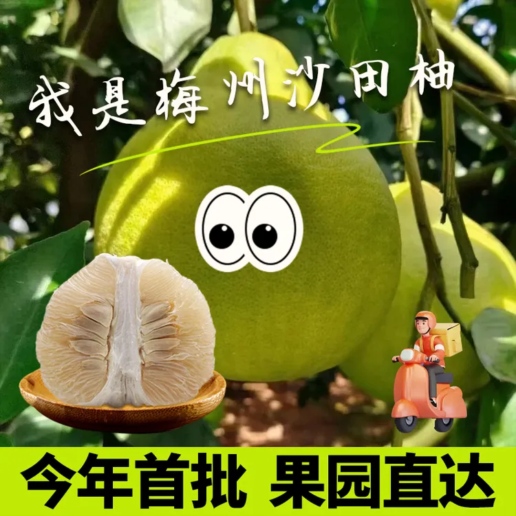 正宗梅州金柚沙田柚饱满不酸50斤梅州沙田柚