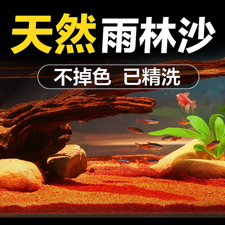 雨林沙鱼缸造景装饰底砂免洗石英红沙子南美原生雷龙溪流砂石细沙