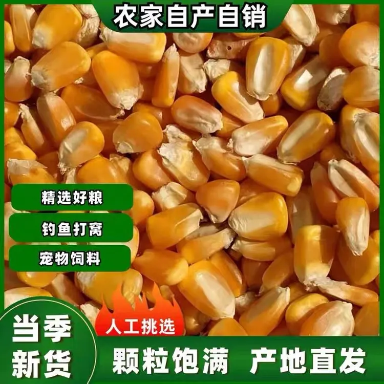 新鲜晒干老玉米粒农家手剥精选苞米粗粮当季新货老品种