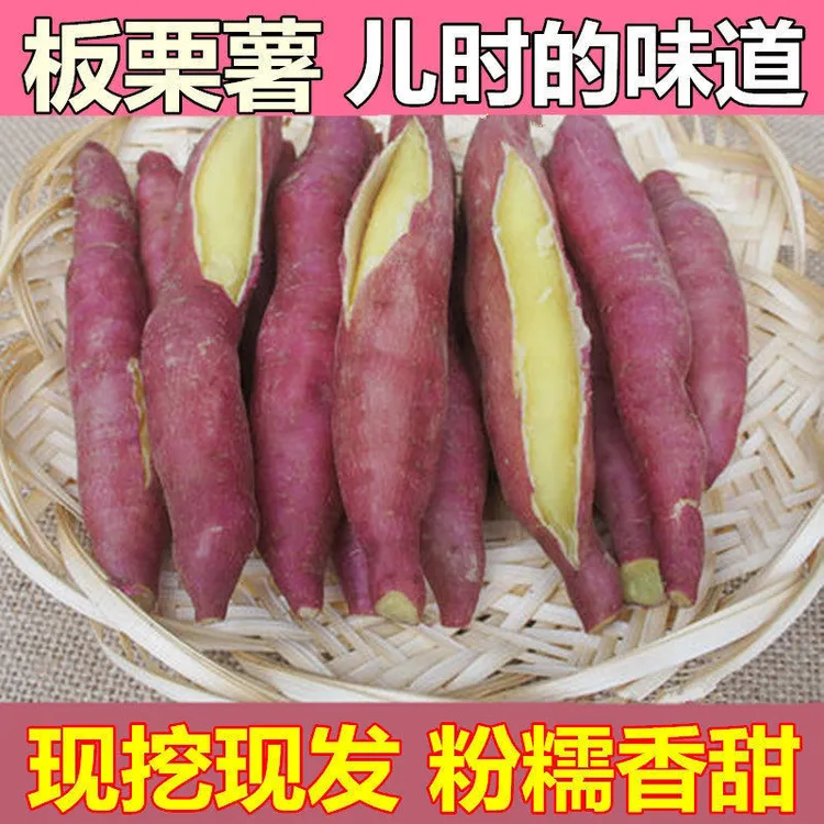 沙地板栗薯红薯新鲜整箱白薯临潼山芋沙地黄心大果番板栗红薯皮薄