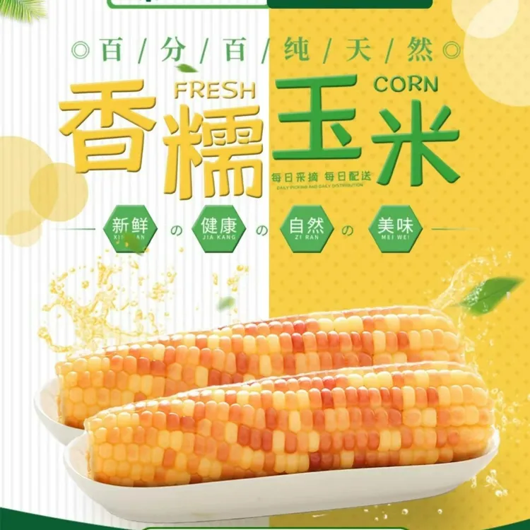 萨利欢精品花糯玉米（净含量2kg礼盒装)
