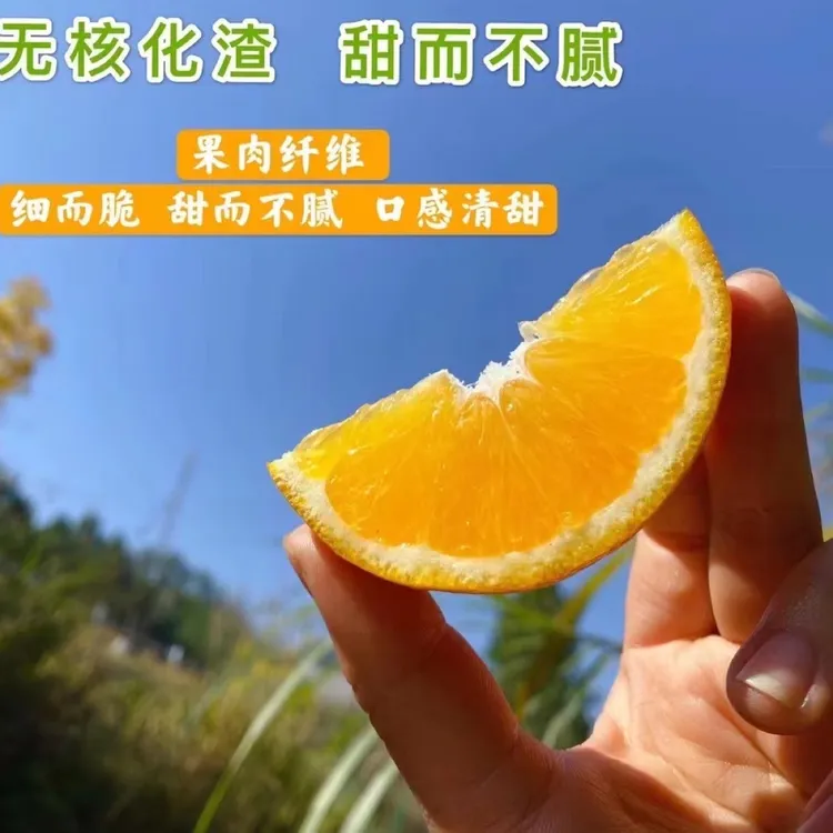 赣南早脐橙酸甜解腻5斤新鲜水果