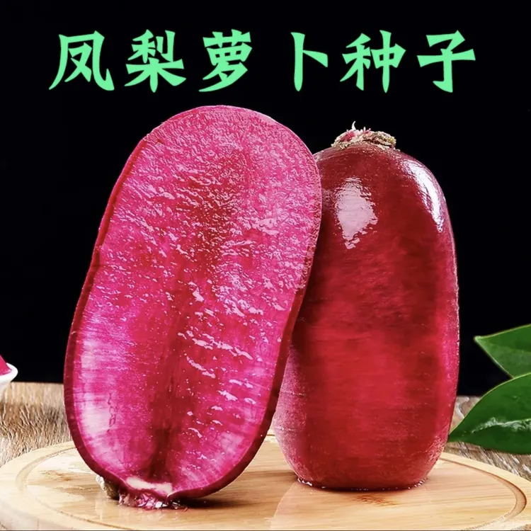 【凤梨萝卜种子】脆甜红皮红肉水果萝卜种子阳台花盆可种蔬菜种子
