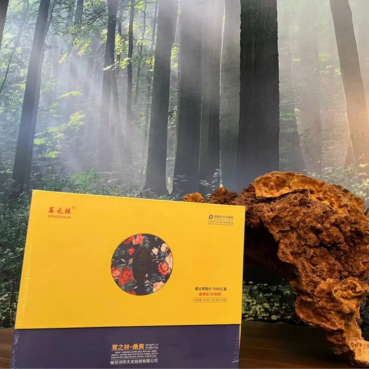 桑黄代用茶礼盒装冲饮泡饮300克