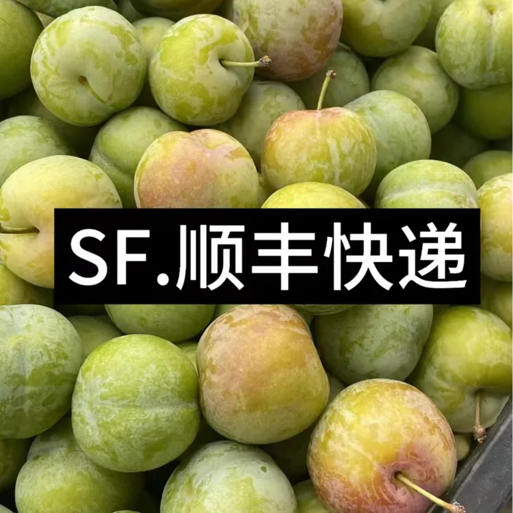 顺丰包邮贵州新鲜凤凰李子脱骨李清脆