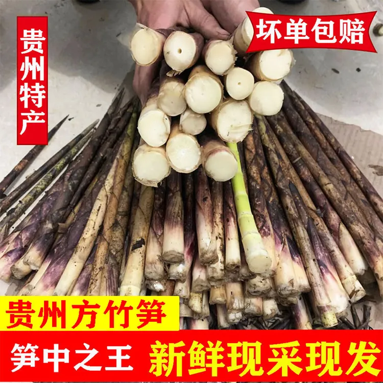 贵州高山新鲜小竹笋野生方竹笋刺竹笋秋笋带壳发货5斤起