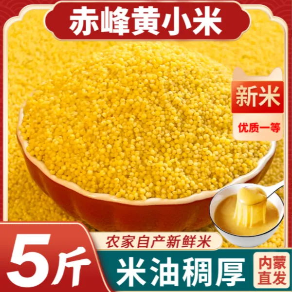 2025年内蒙赤峰糯黄小米新米油小米新米优质月子米精选
