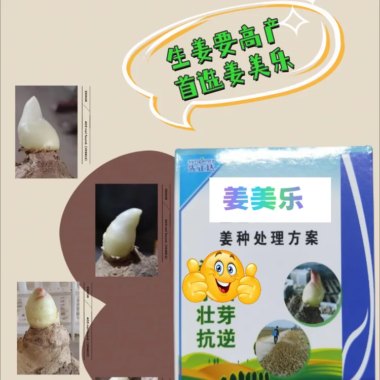 姜美乐喷姜种套餐