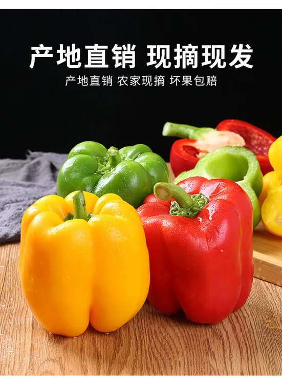 【寿光彩椒】五彩椒新鲜圆椒柿子椒红黄绿椒七彩辣椒水果椒自然熟