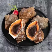 甜蜜海岸sweet coast红豆家连云港发货 新鲜 海螺 三斤鲜甜饱满
