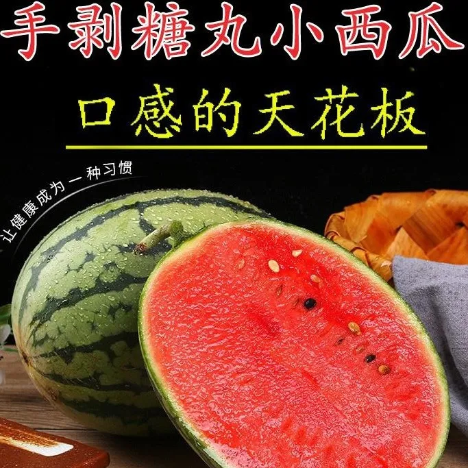 【文竹呀专属】头茬2k手撕薄皮西瓜现摘现发新鲜直发包邮4-5斤皮薄脆甜多汁